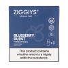 Blueberry Burst Apollo Prefilled Pods by Ziggiys